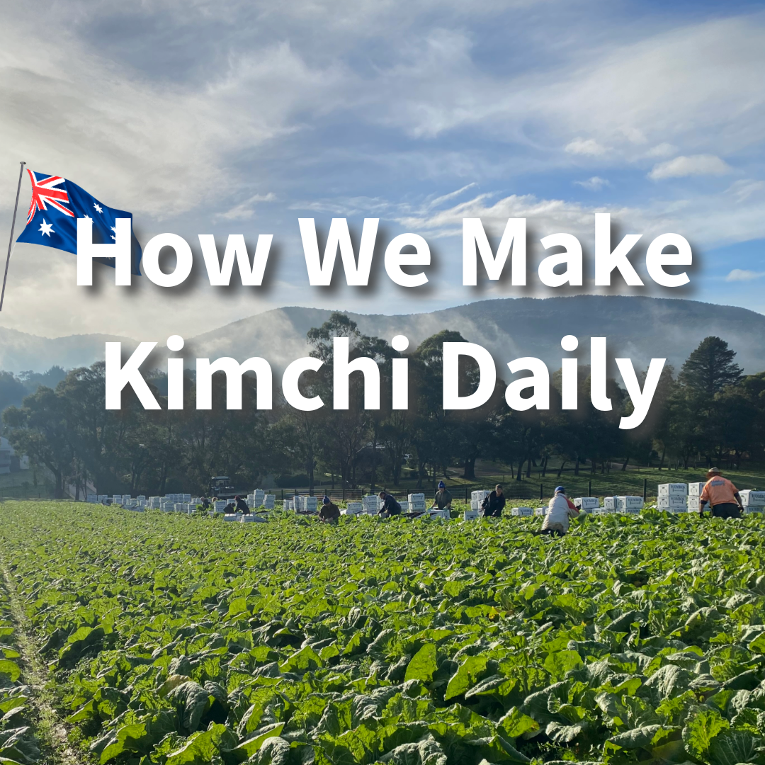 Take the tour of processing of kimchi