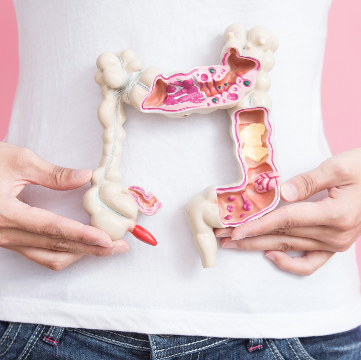 3 ways to Improve your Gut Health Naturally