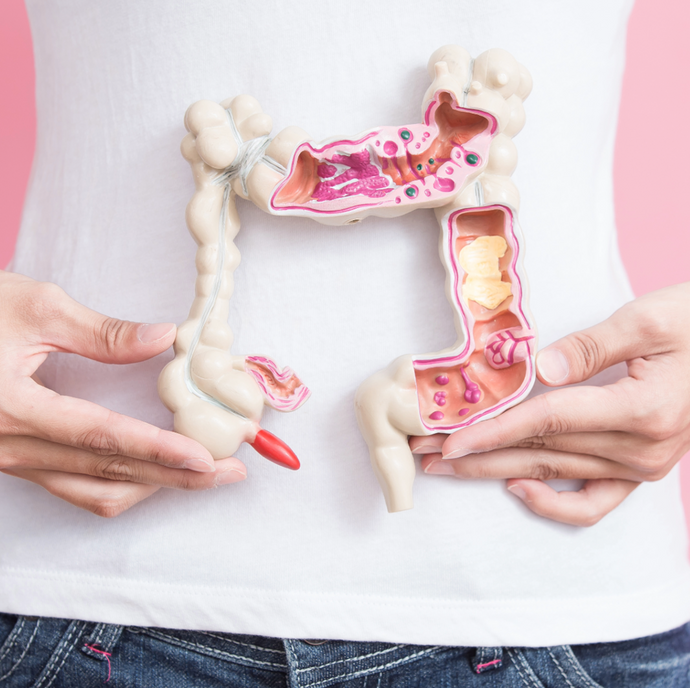 How to improve your gut health by Fermented food