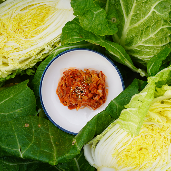 Korea Kimchi 10kg : Bulk Pack